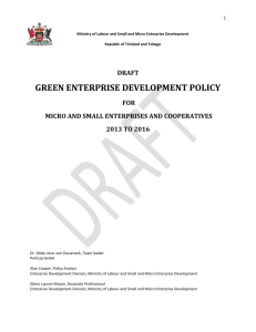 The National Green Enterprise Policy for Micro and Small