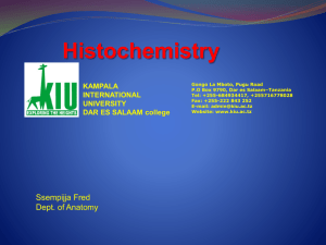 Histochemistry - Amazon Web Services