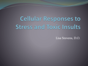 Cellular_Responses_to_Stress_and_Toxic_Insults path ch 2