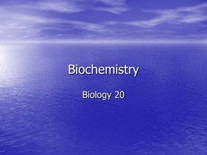 BioUT.1.2.Biochemistry