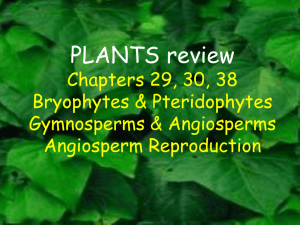 PLANTS review Chapter 29, 30, & 35-39