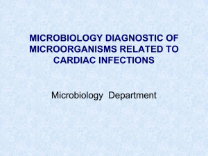 microbiology diagnostic of microorganisms related to cardiac