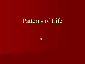 Patterns of Life