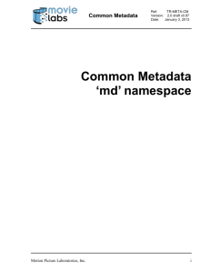 Common Metadata