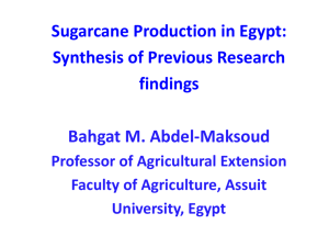 Sugarcane Production in Egypt: Synthesis of Previous Research