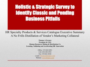 Holistic Strategic Organizational Effectiveness Survey