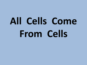 All Cells Come From Cells