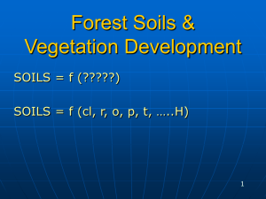 Forest Soils & Vegetation Development