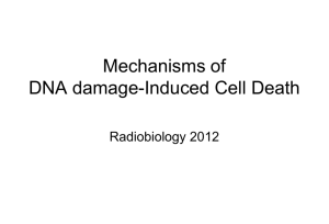Mechanisms of Radiation-Induced Cell Death