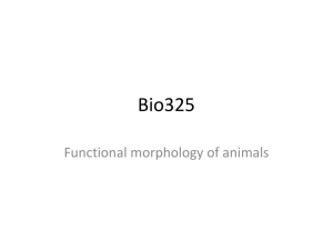 Bio325