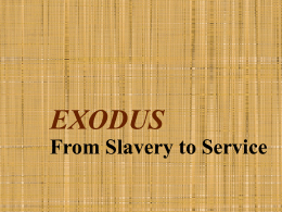 The 10 Plagues - Jehovah Versus the Gods of Egypt