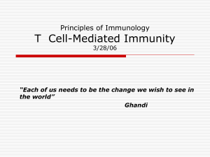 T Cell Development