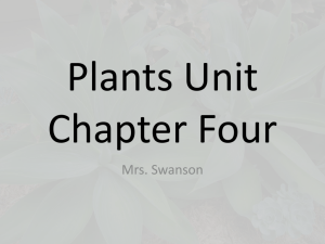 Plants Unit chapter 4
