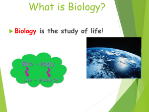 ecology power point