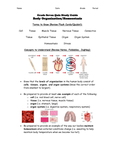 Grade Seven Quiz Study Guide Body Organization/Homeostasis
