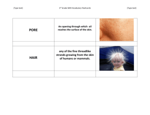 [Type text]3rd Grade SKIN Vocabulary Flashcards[Type text] PORE
