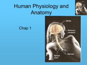 Human Physiology and Anatomy