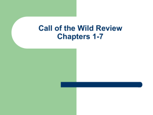Call of the Wild Review