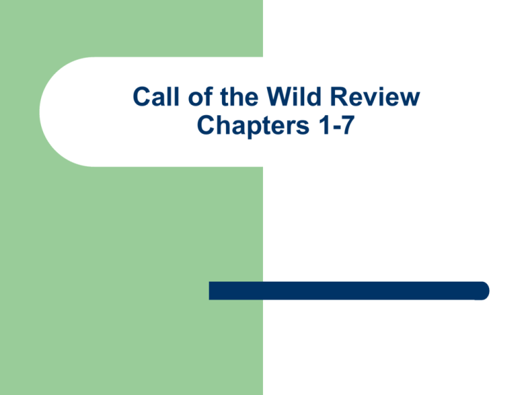 call-of-the-wild-review