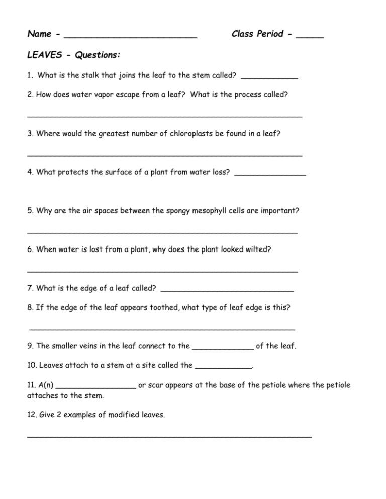 LEAVES Questions