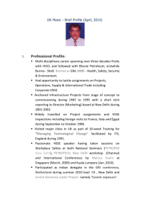 DKM_Brief Profile 2014
