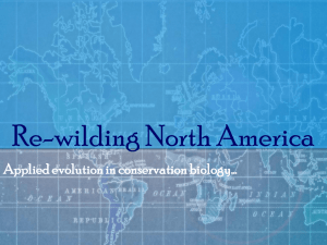 Re-wilding North America
