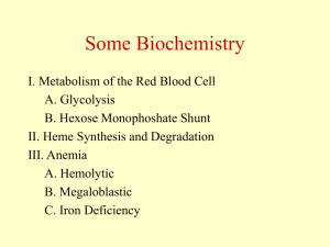 PowerPoint Presentation - Hematology System: Biochemistry