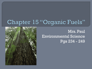 Chapter 15 *Organic Fuels*