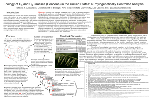 Ecology of C3 and C4 Grasses (Poaceae) in the United States