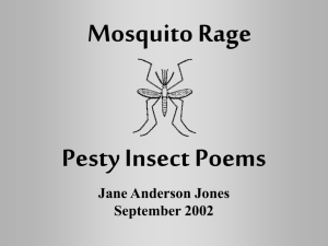 Mosquito Rage - SCF Faculty Site Homepage