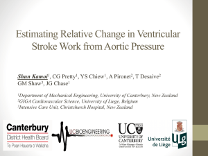 Estimating Ventricular Stroke Work - shun