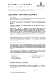 Service Provider Guidelines - Hampshire Chamber of Commerce