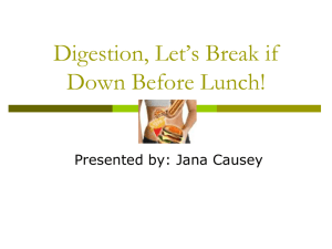 Digestion, Let's break it down for lunch! Causey