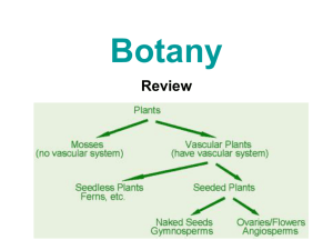 Botany Part 1