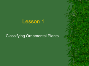 Classifying Ornamental Plants