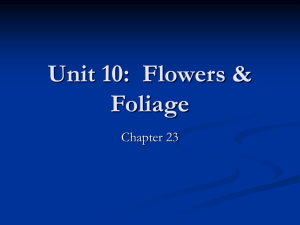 Unit 10: Flowers & Foliage