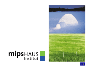 What is the mipsHAUS-Institute?