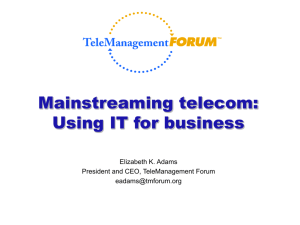 Mainstreaming telecom: Using IT for business