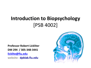 Introduction to Biopsychology [PSB 4002]