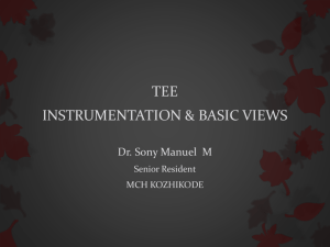 TEE INSTRUMENTATION & BASIC VIEWS Dr. Sony Manuel