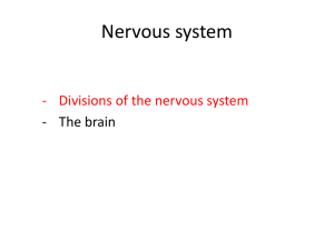 Unit3-NervousSystemWeb