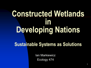 Constructed Wetlands in Developing Nations Sustainable System