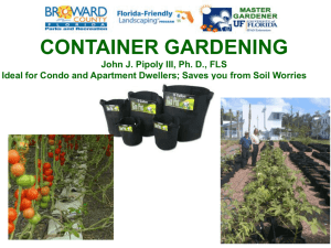 Florida-Friendly Container Gardening