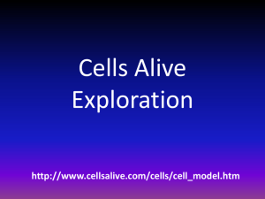 Cells Alive Exploration