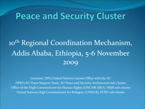 Peace and Security Cluster