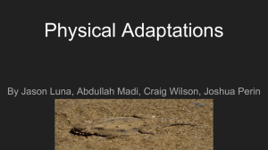 Physical Adaptations