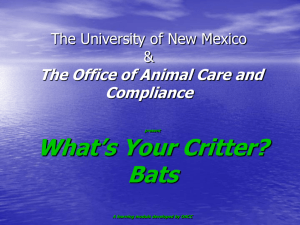 Office of Animal Care and Compliance