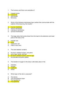 Practice Quiz 2_Answers - TAFE-Cert-3