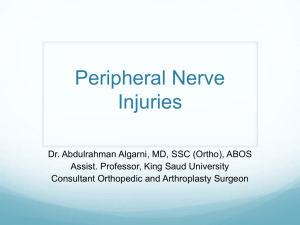 Peripheral Nerve Injuries - Wikispaces