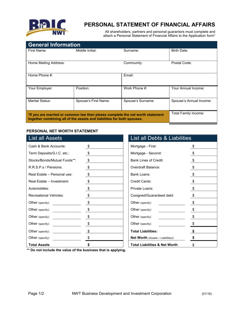 Personal statement of financial affairs worth template)